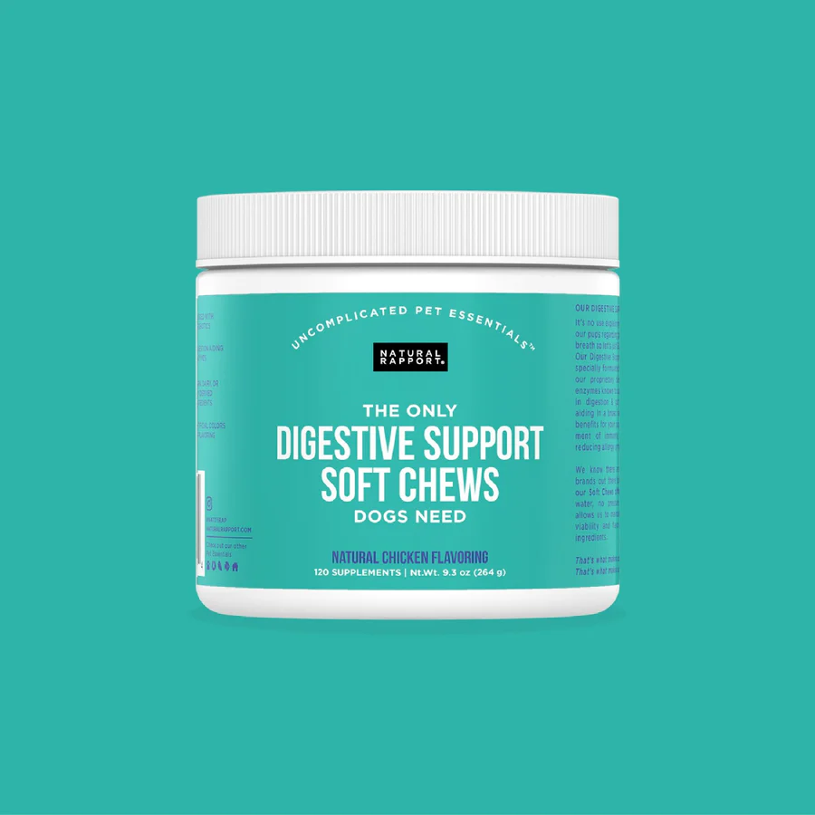 Natural Rapport Dog Digestive Supplement