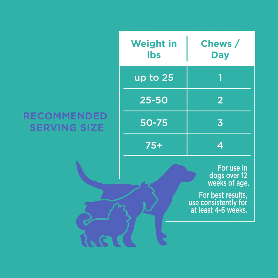 Natural Rapport Dog Digestive Supplement