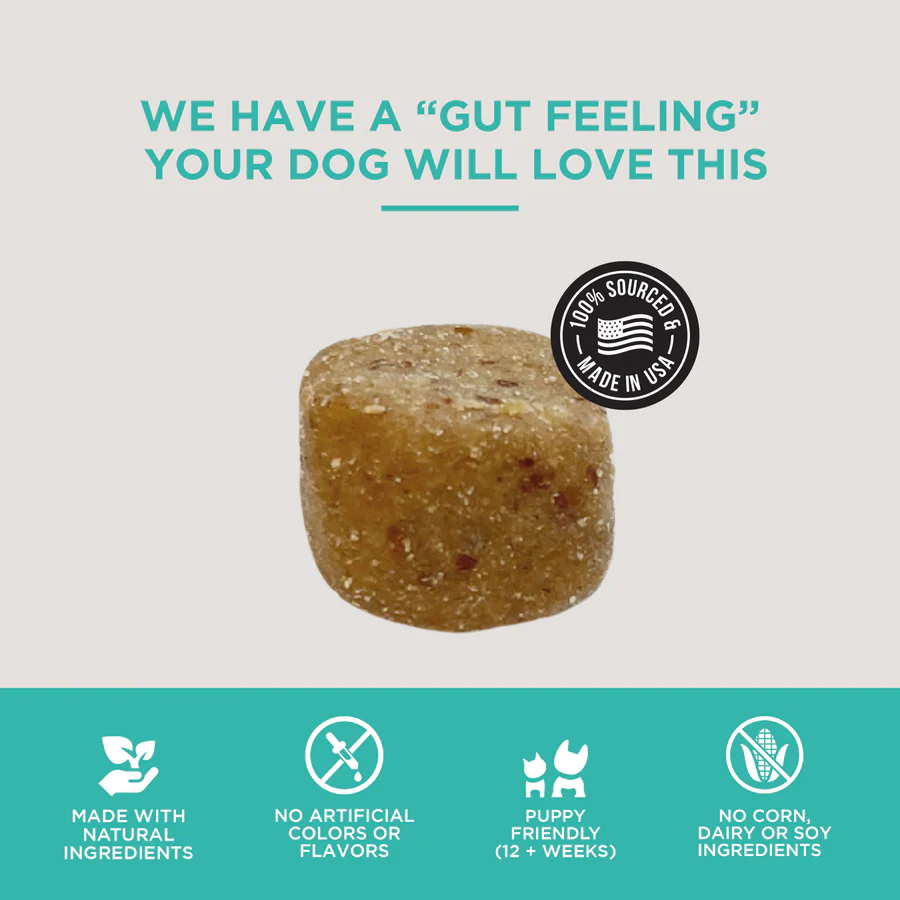 Natural Rapport Dog Digestive Supplement