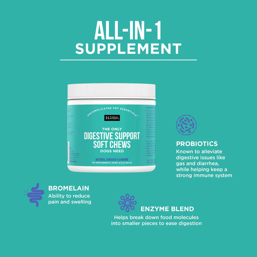 Natural Rapport Dog Digestive Supplement