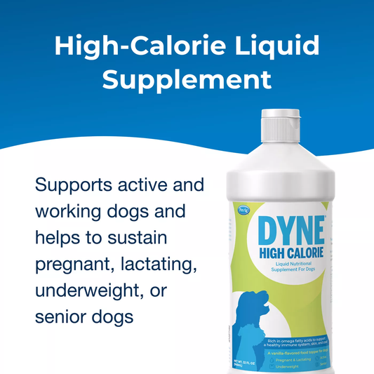 DYNE - High Calorie Nutritional Supplement (32 oz)