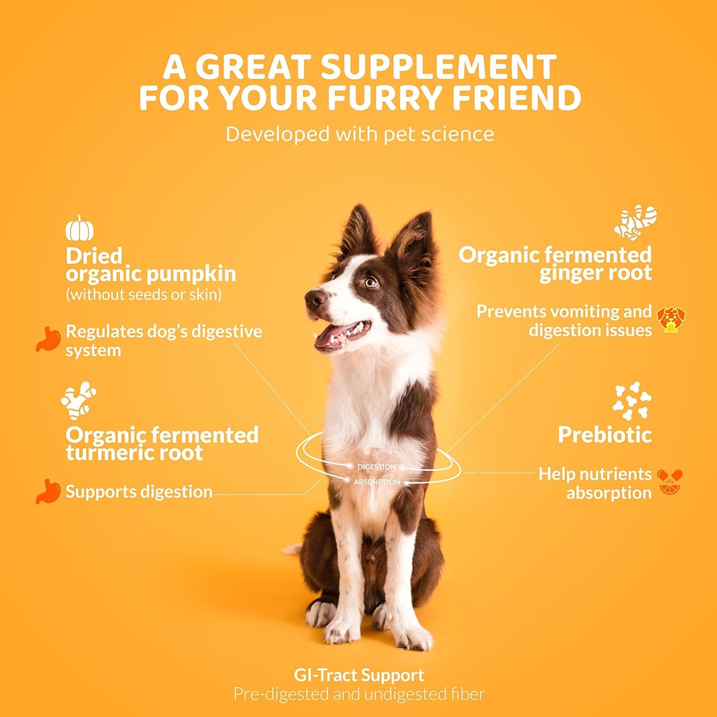 Rogue Pumpkin Pro for Dogs w/Organic Pumpkin