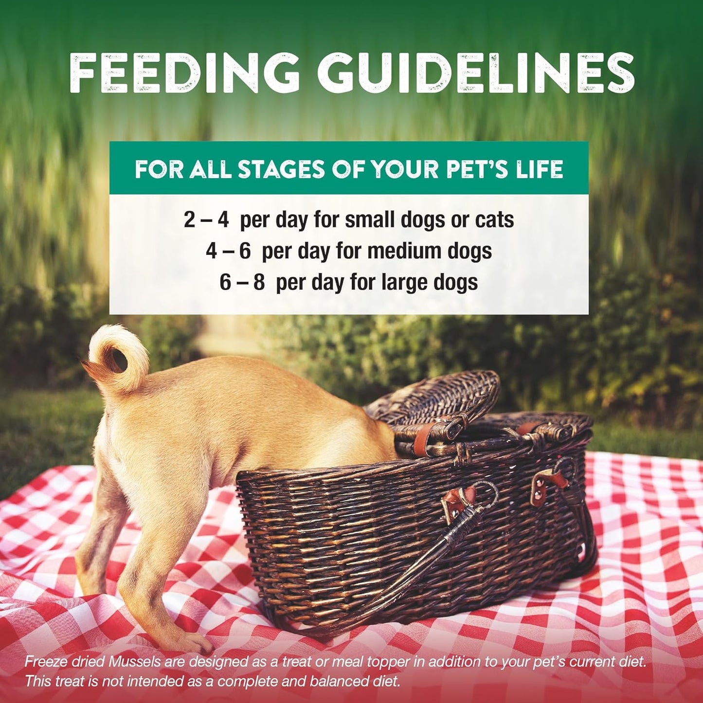 Northwest Naturals Raw Rewards Freeze-Dried Treats for Dogs and Cats