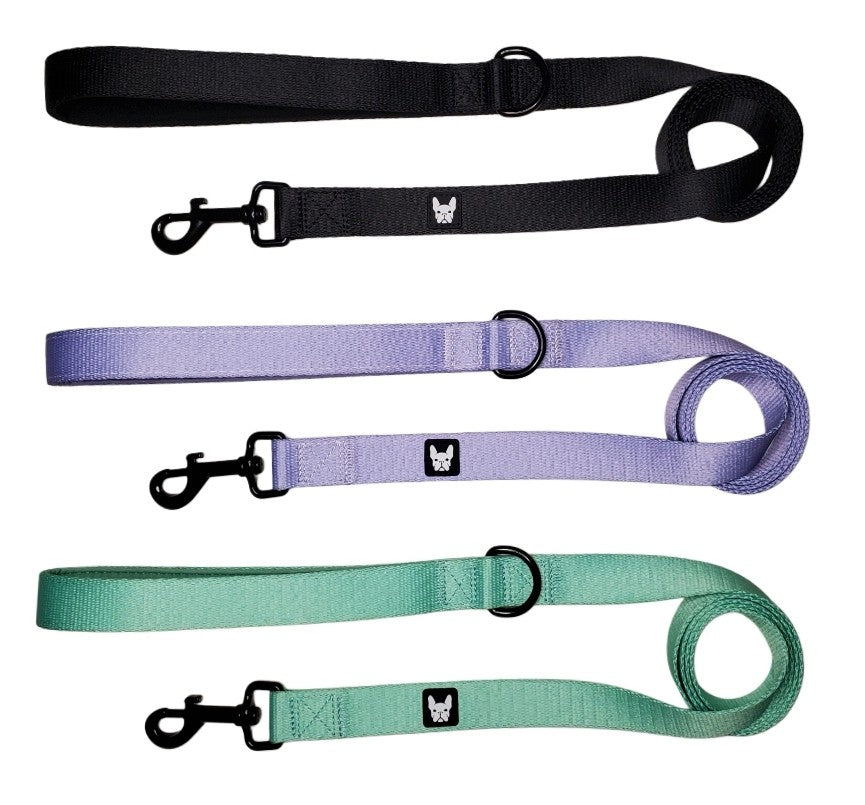 Nomadic Frenchie Harness w/ Leash