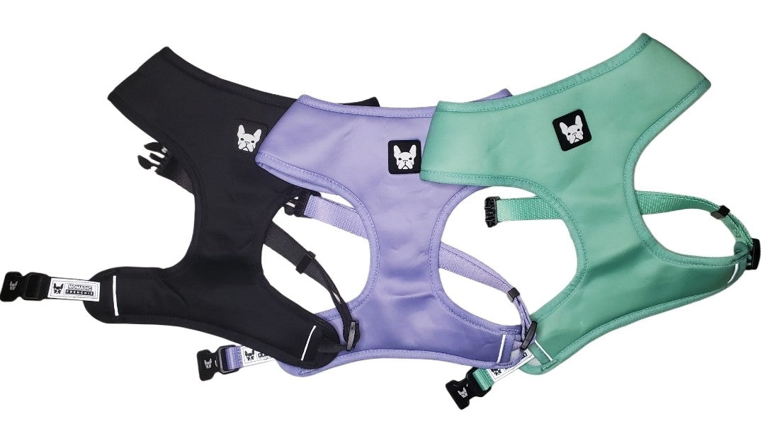Nomadic Frenchie Harness w/ Leash