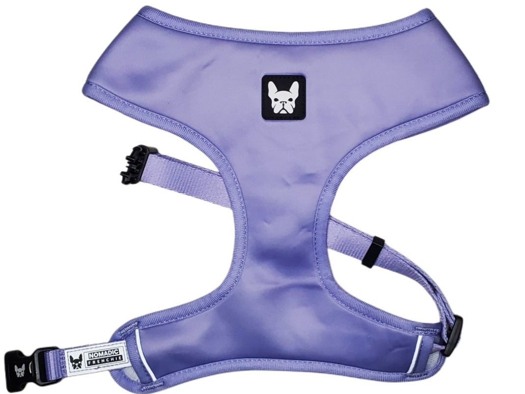 Nomadic Frenchie Harness w/ Leash