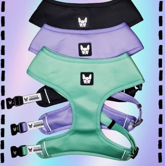 Nomadic Frenchie Harness w/ Leash