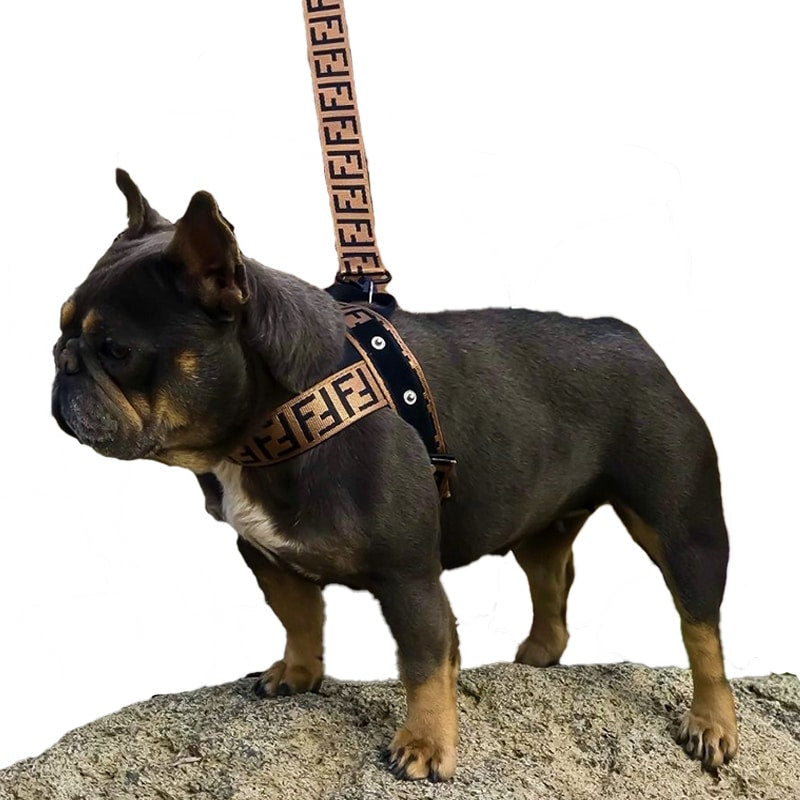 Off white dog harness best sale