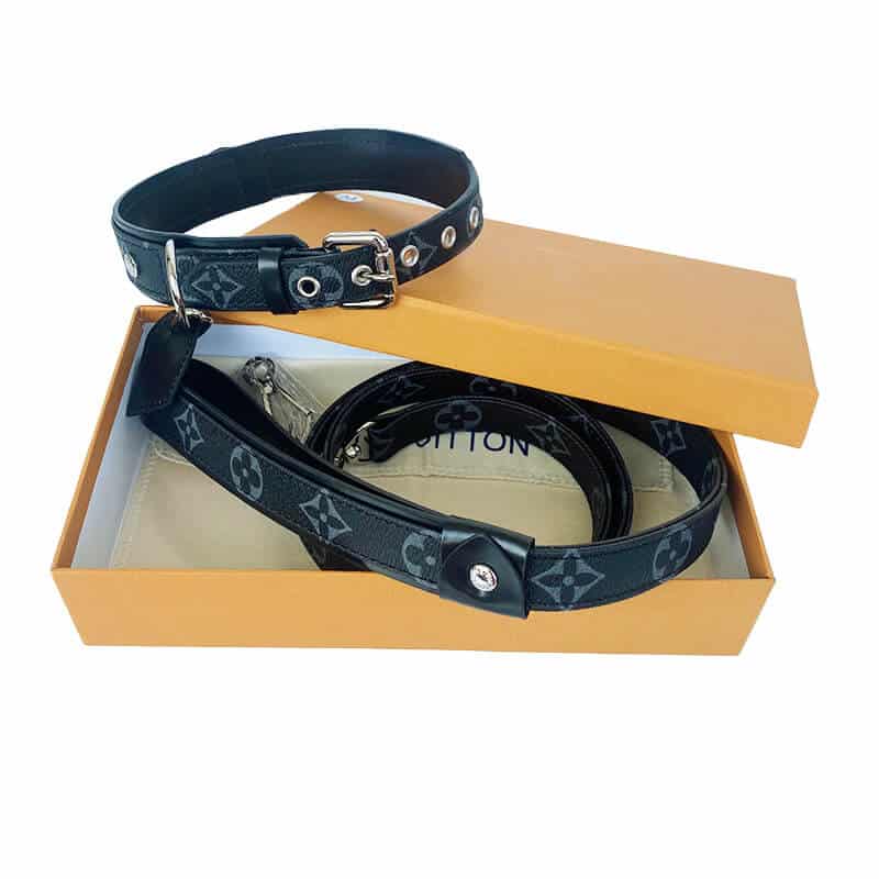 Lv dog collar and fashion leash