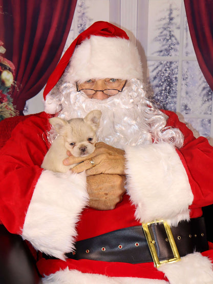 Capture Holiday Memories with Santa at Raw & Paw