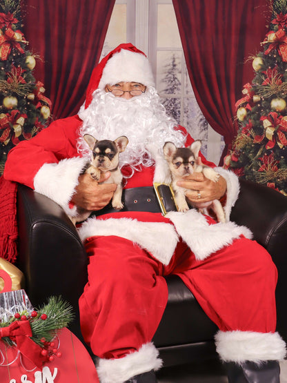 Capture Holiday Memories with Santa at Raw & Paw