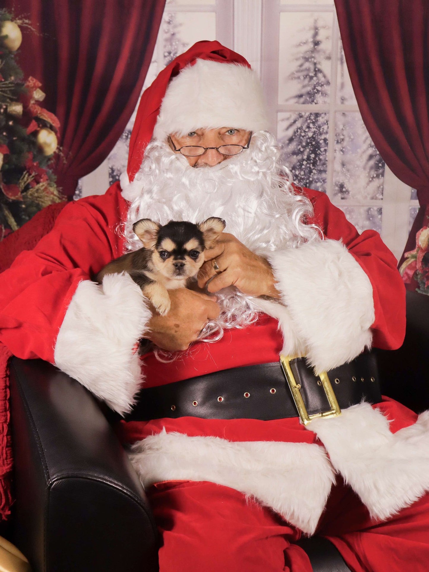 Capture Holiday Memories with Santa at Raw & Paw