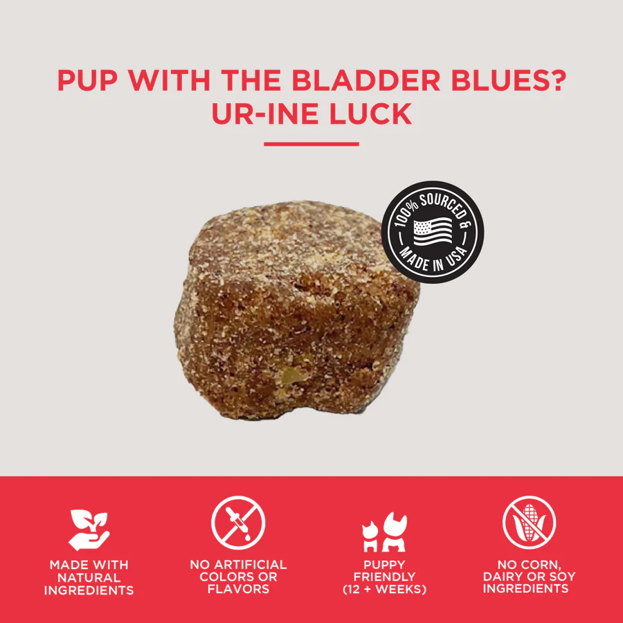 Natural Rapport Dog Bladder Support Supplement