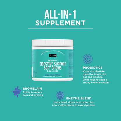 Natural Rapport Dog Digestive Supplement