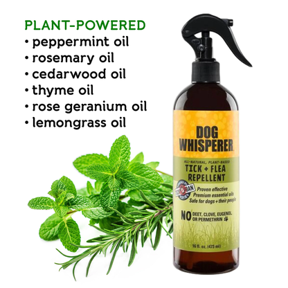 YAYA Organics Dog Whisperer Flea & Tick Treatments, Proven Effective, Plant-Based