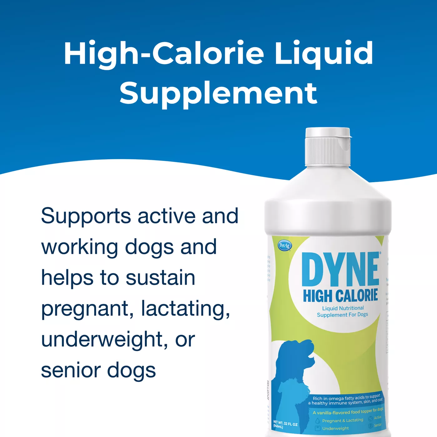 DYNE - High Calorie Nutritional Supplement (32 oz)