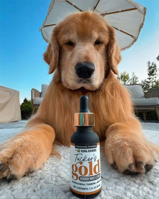 TUCKER'S GOLD 1000MG - #1 Vet Recommended (BLACK FRIDAY SALE)