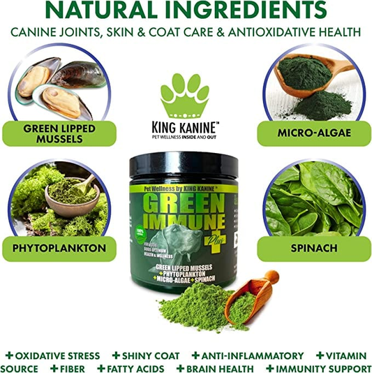 Green Immune Plus+ Super Food with Multivitamins & Minerals