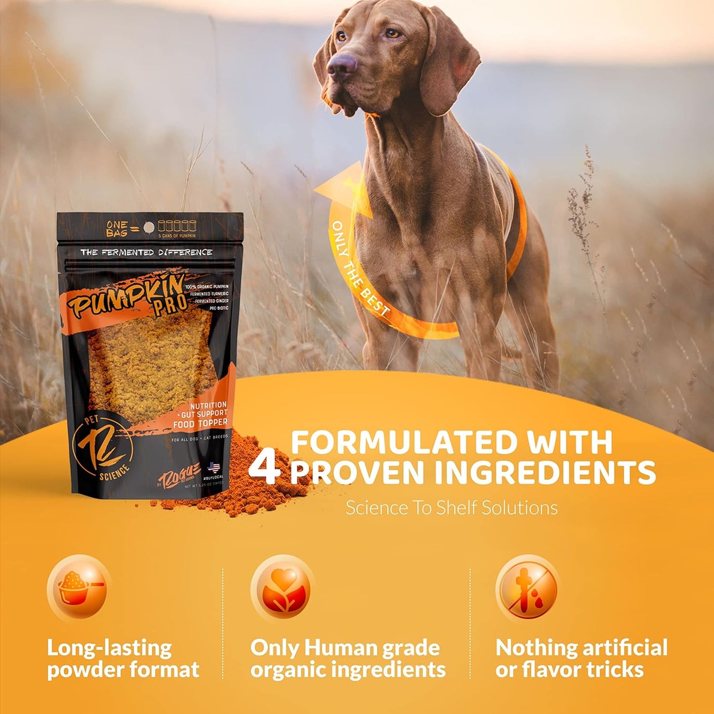 Rogue Pumpkin Pro for Dogs w/Organic Pumpkin