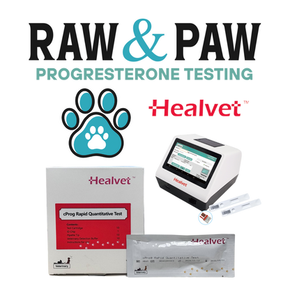 Canine Progesterone Test Kit (10 pack)