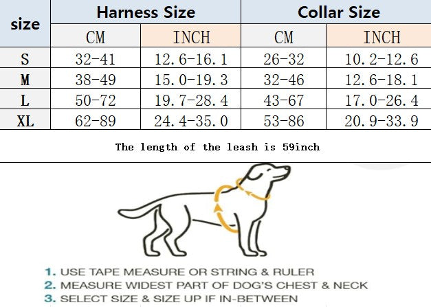 G* Dog Harness and leash set