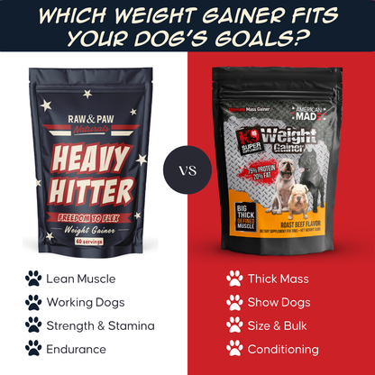 K9SS Weight Gainer - PRE ORDER NOW!!