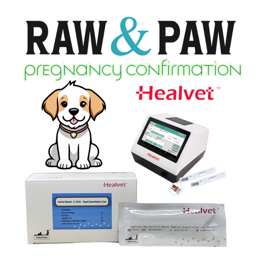 (RLN) Canine Pregnancy Confirmation Only $90 - Book Now