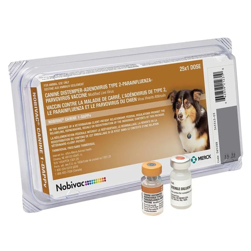 5-n-1 Canine Vaccine Only $25 - Book Now