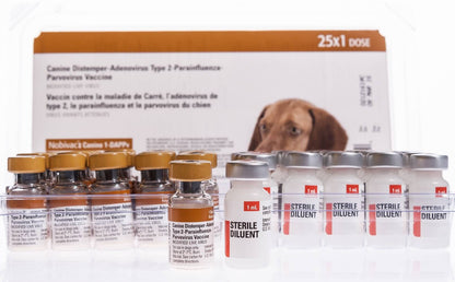 5-n-1 Canine Vaccine Only $25 - Book Now