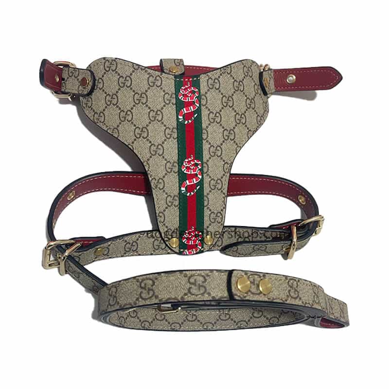 G* Leather Snake Harness & Leash Set