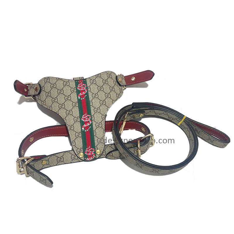 G* Leather Snake Harness & Leash Set