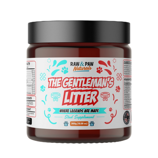 The bottle of The Gentleman's Litter, a premium stud dog fertility and performance supplement designed to improve sperm motility, quality, and libido.